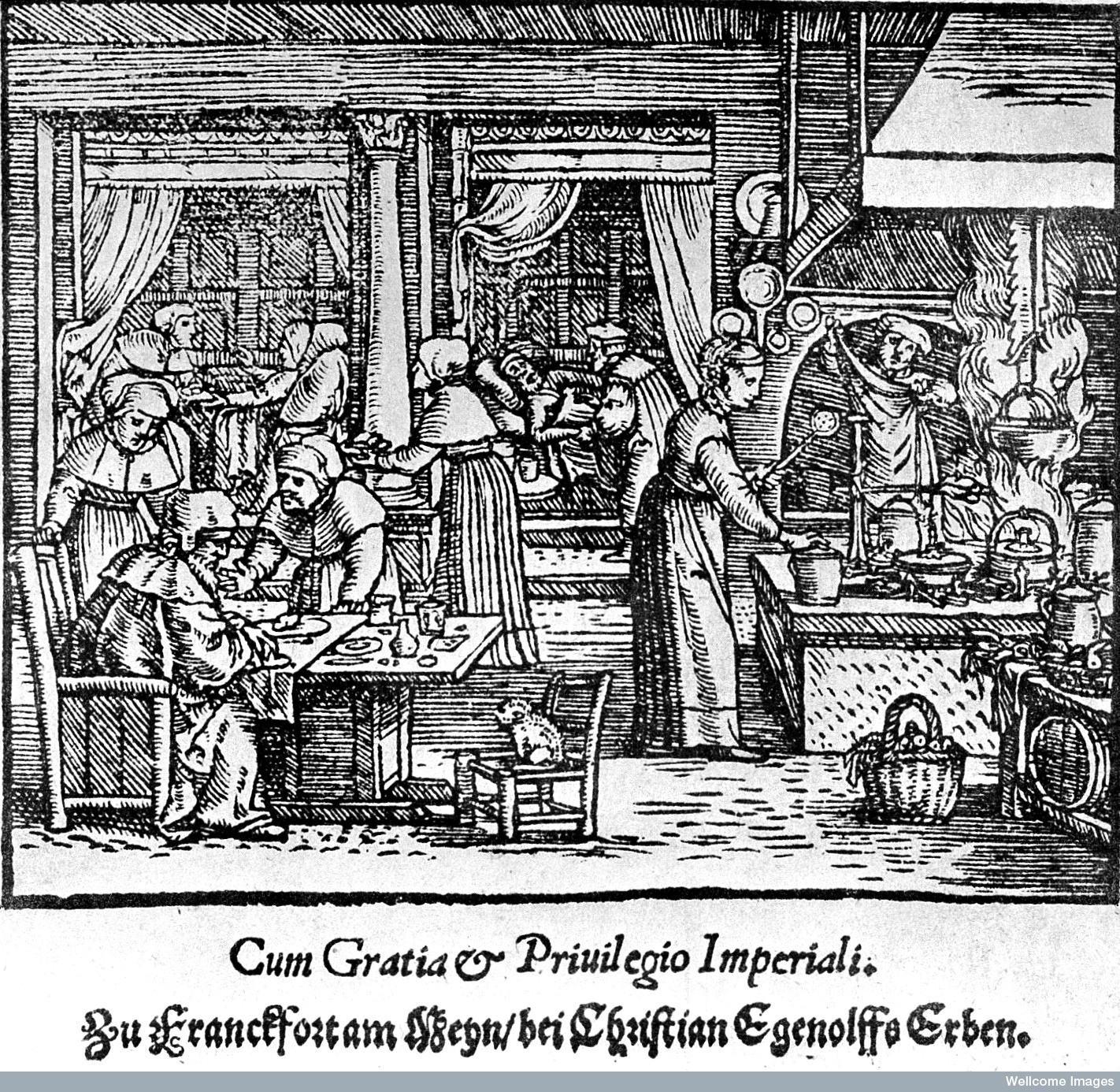 Medicine 16th Century